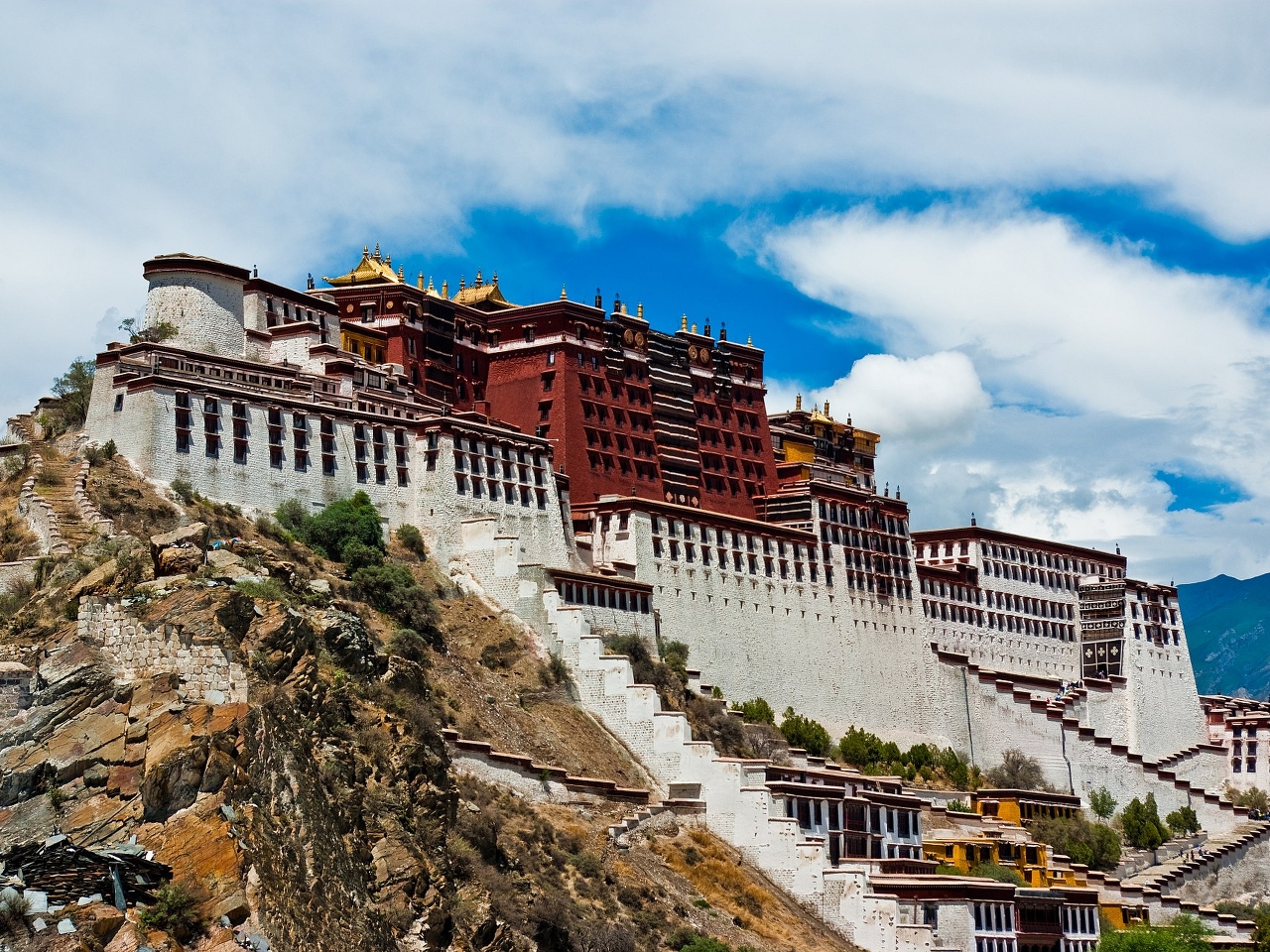 Lhasa Resim