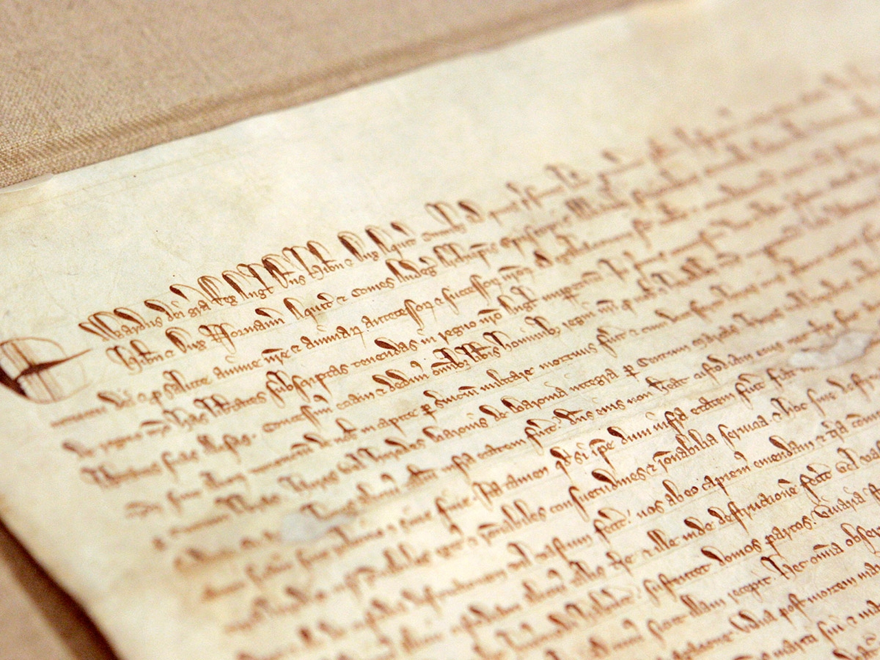 Magna Carta Resim