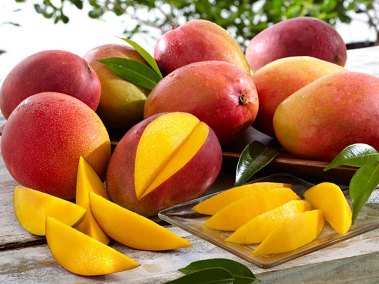 Mango Resimleri