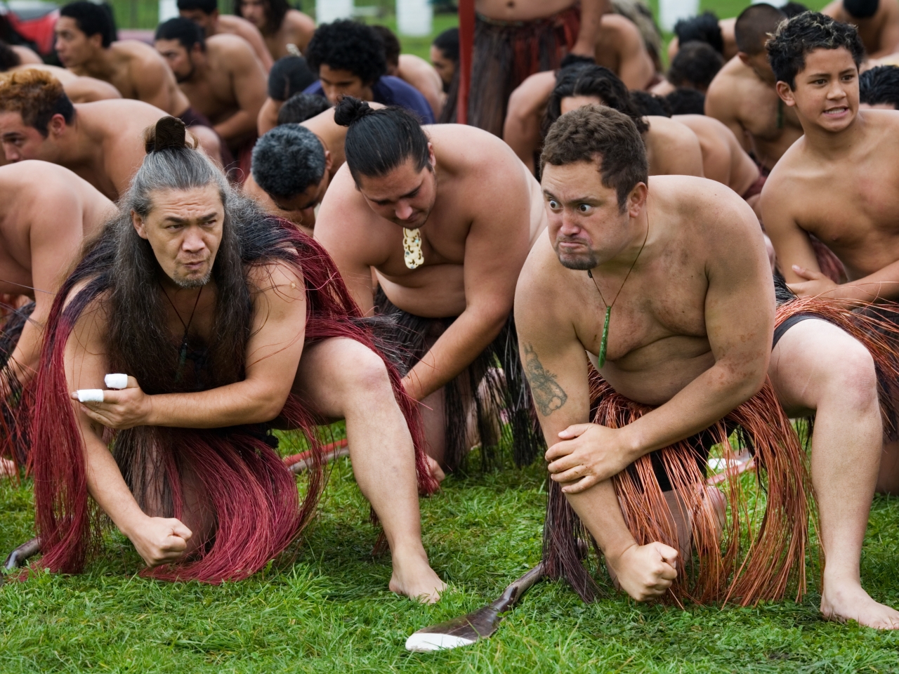 Maoriler Resimleri