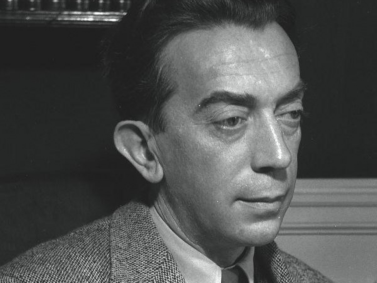 Marcel Ayme Resimleri