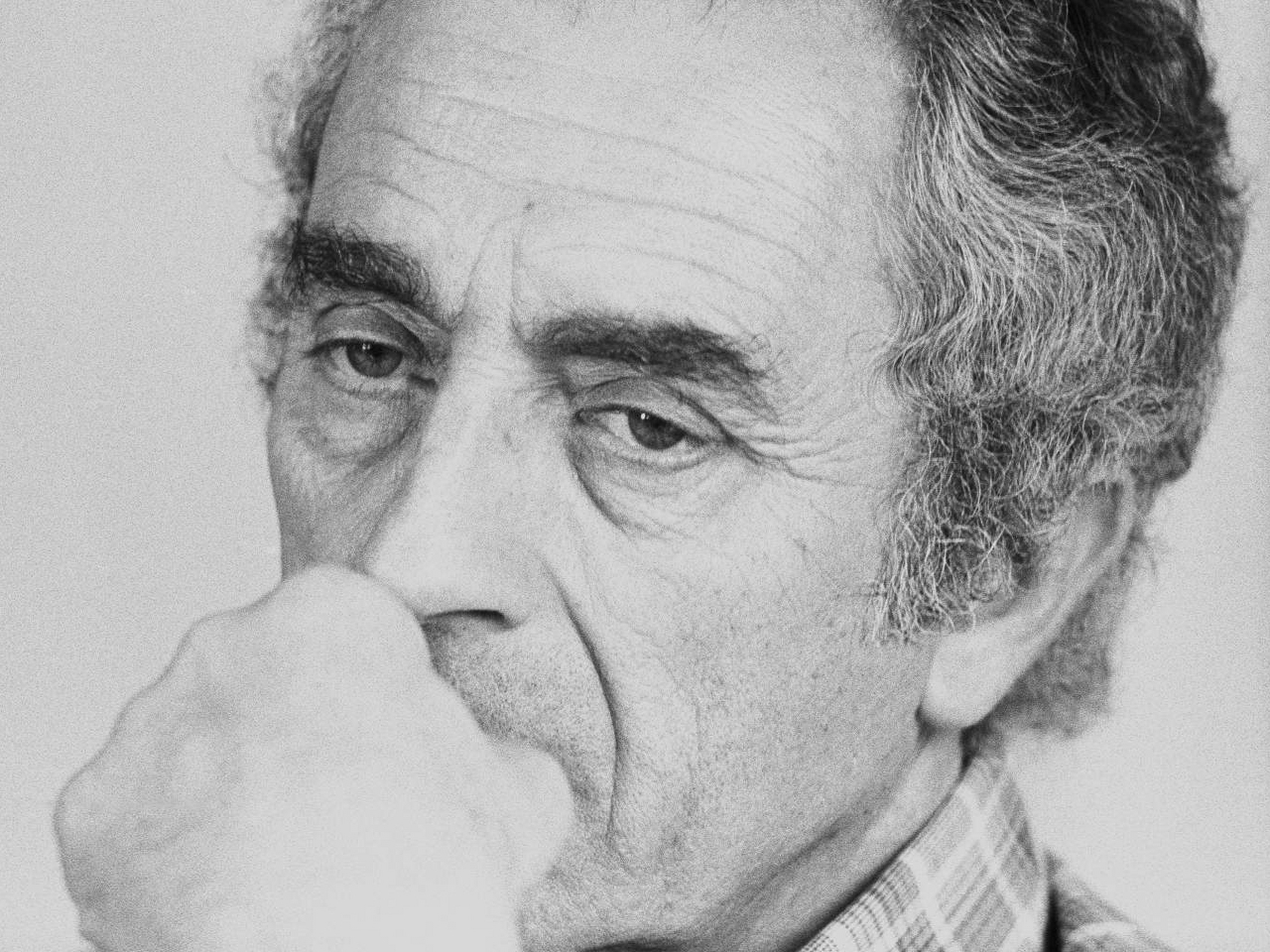 Michelangelo Antonioni Resim