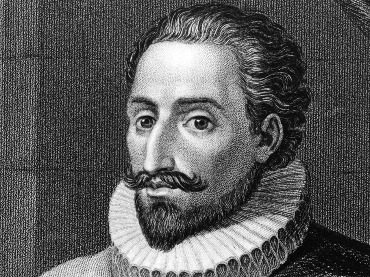 Miguel De Cervantes Saavedra Resim