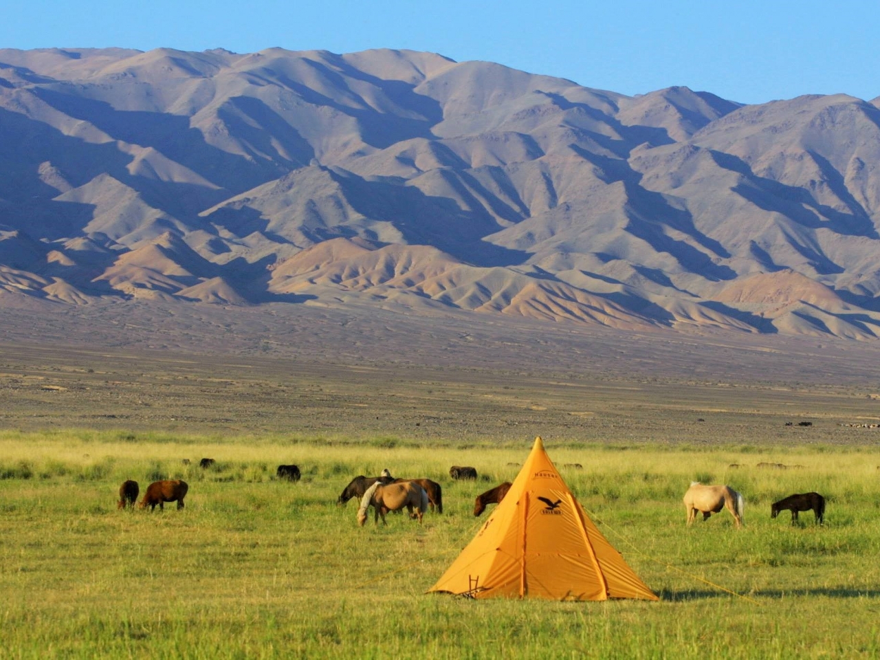 Moğolistan Resim