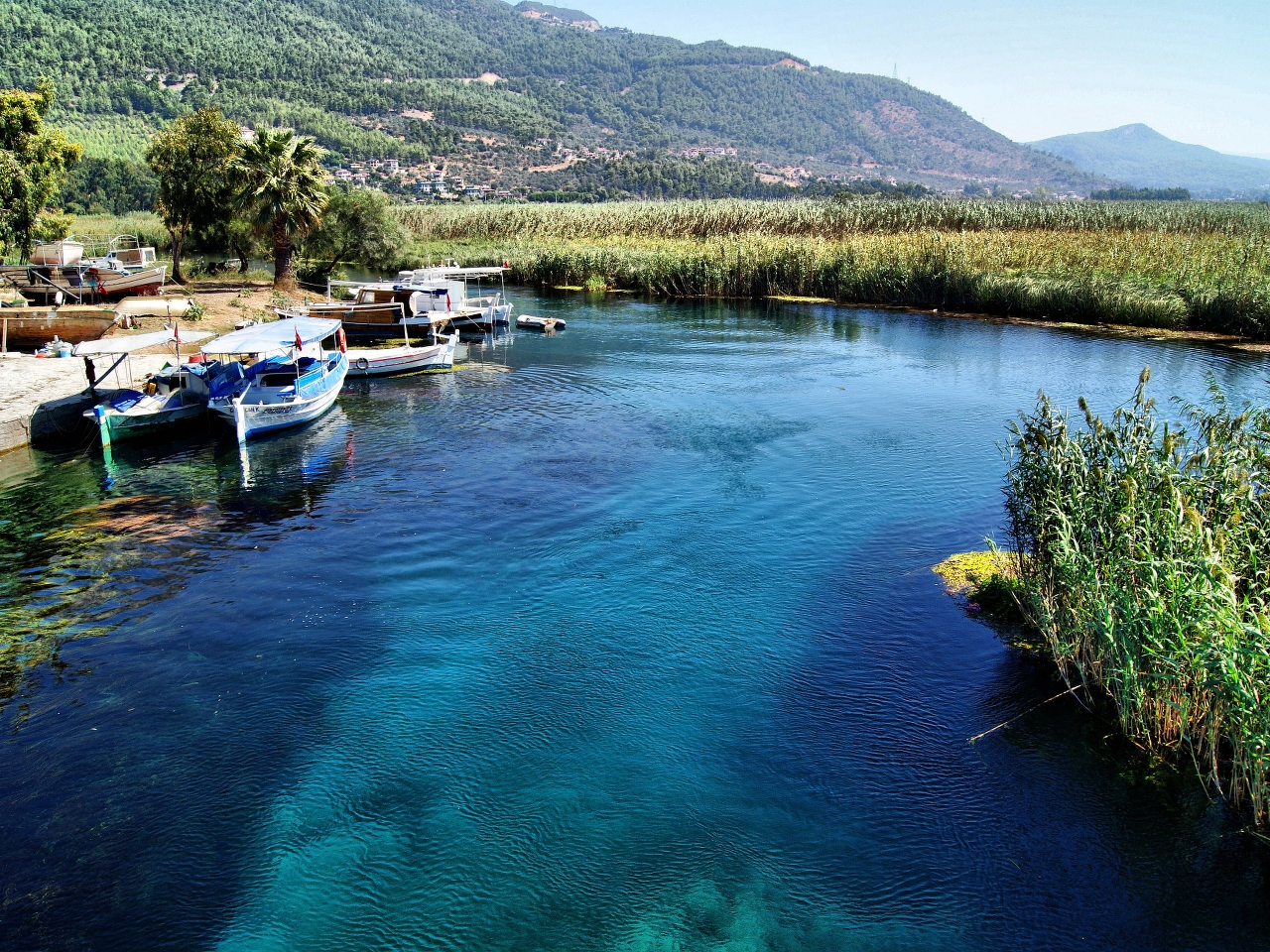 Muğla Resim