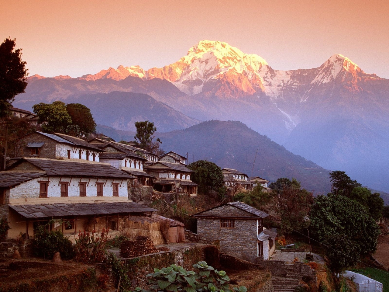 Nepal Resim