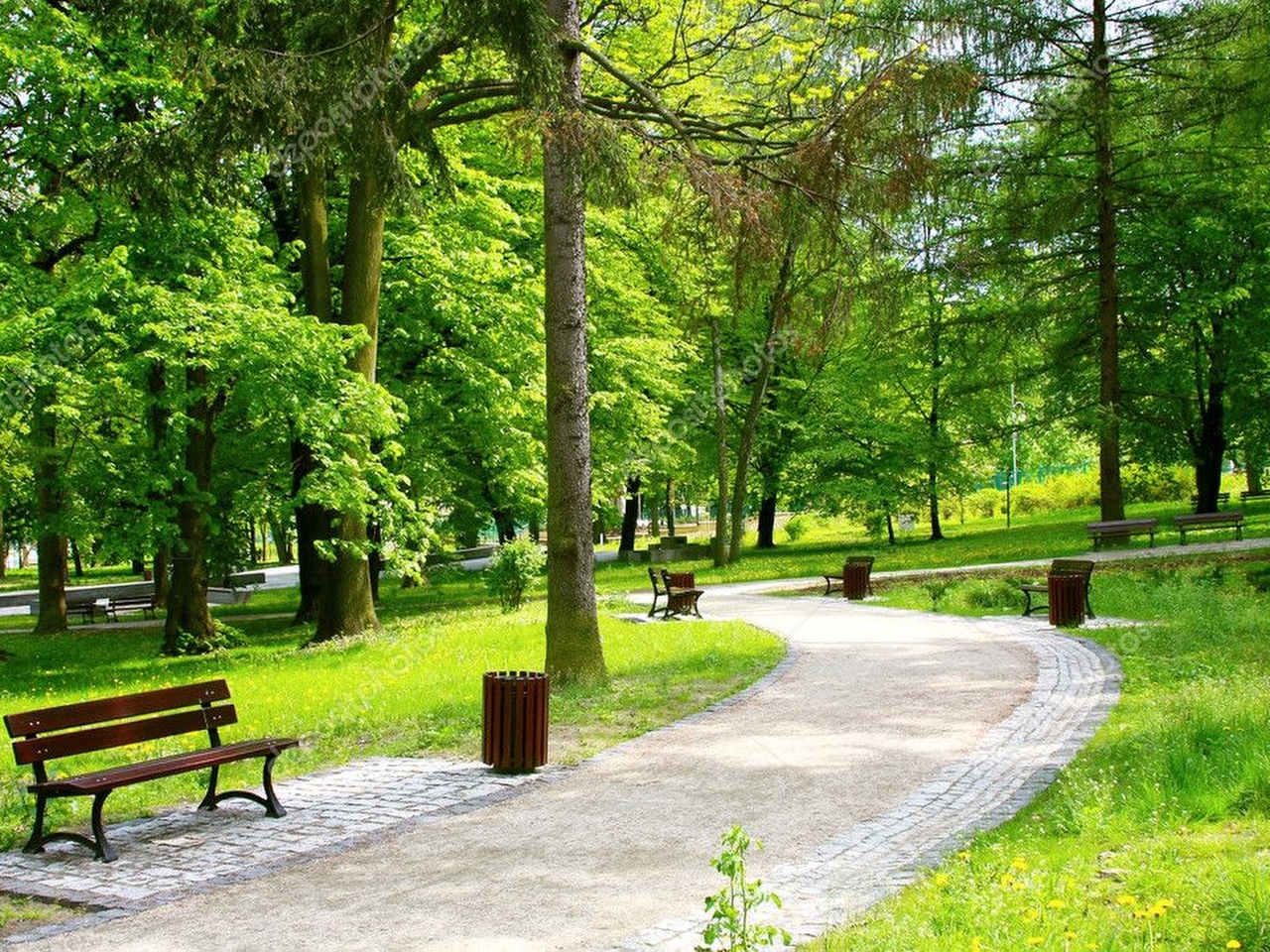 Park Resim Park Resim