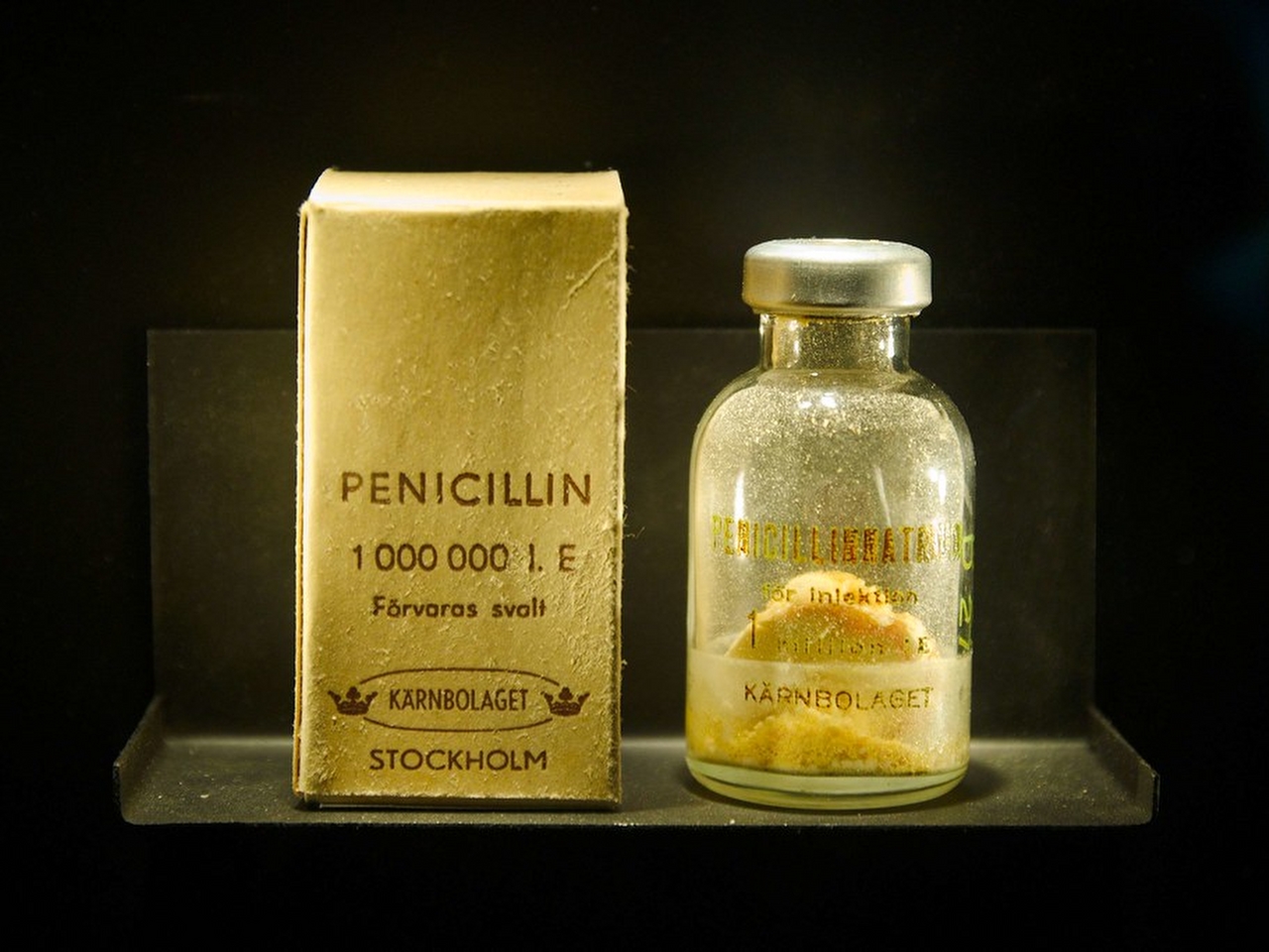 Penisilin Resimleri