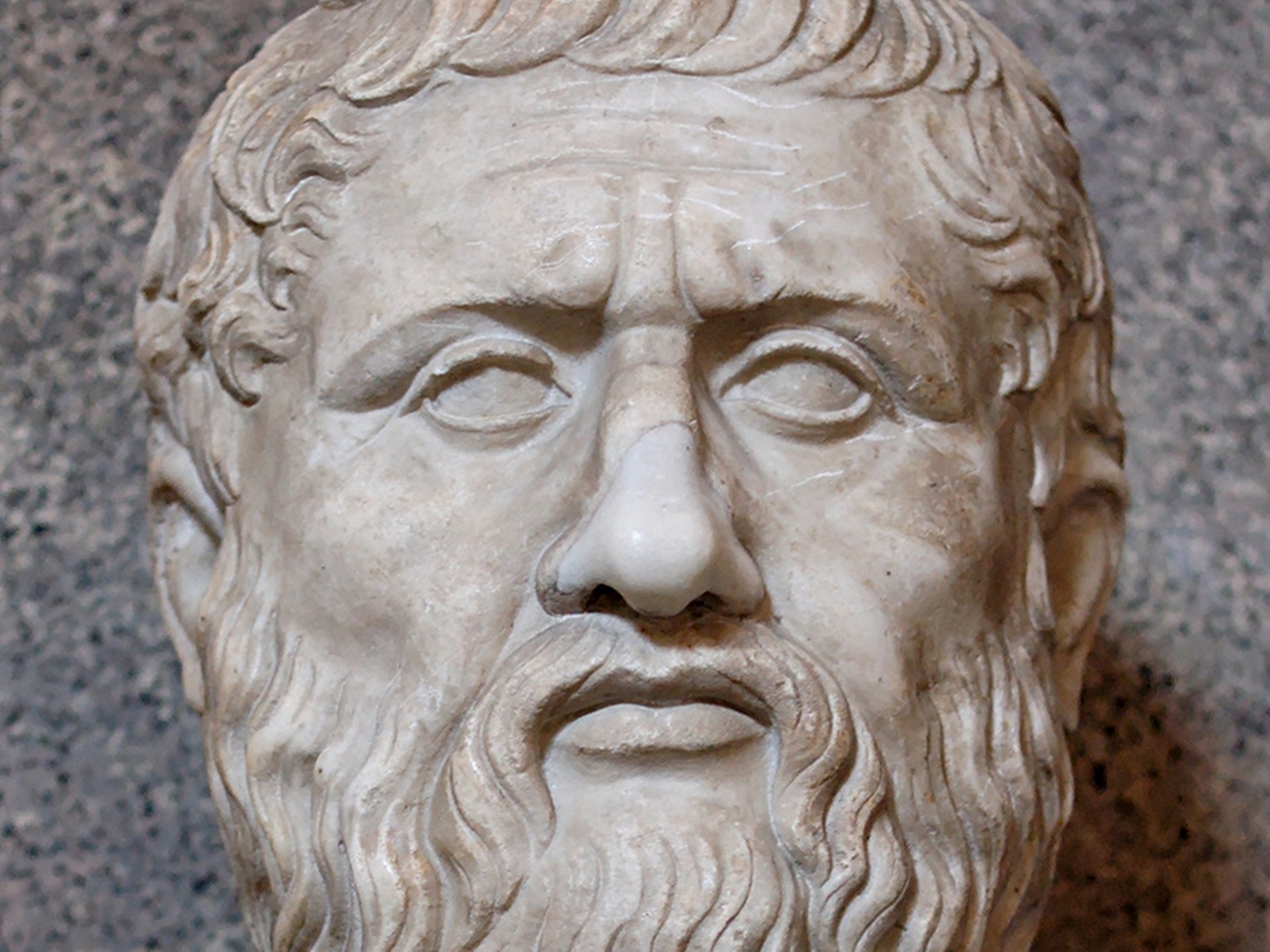 Platon Resim