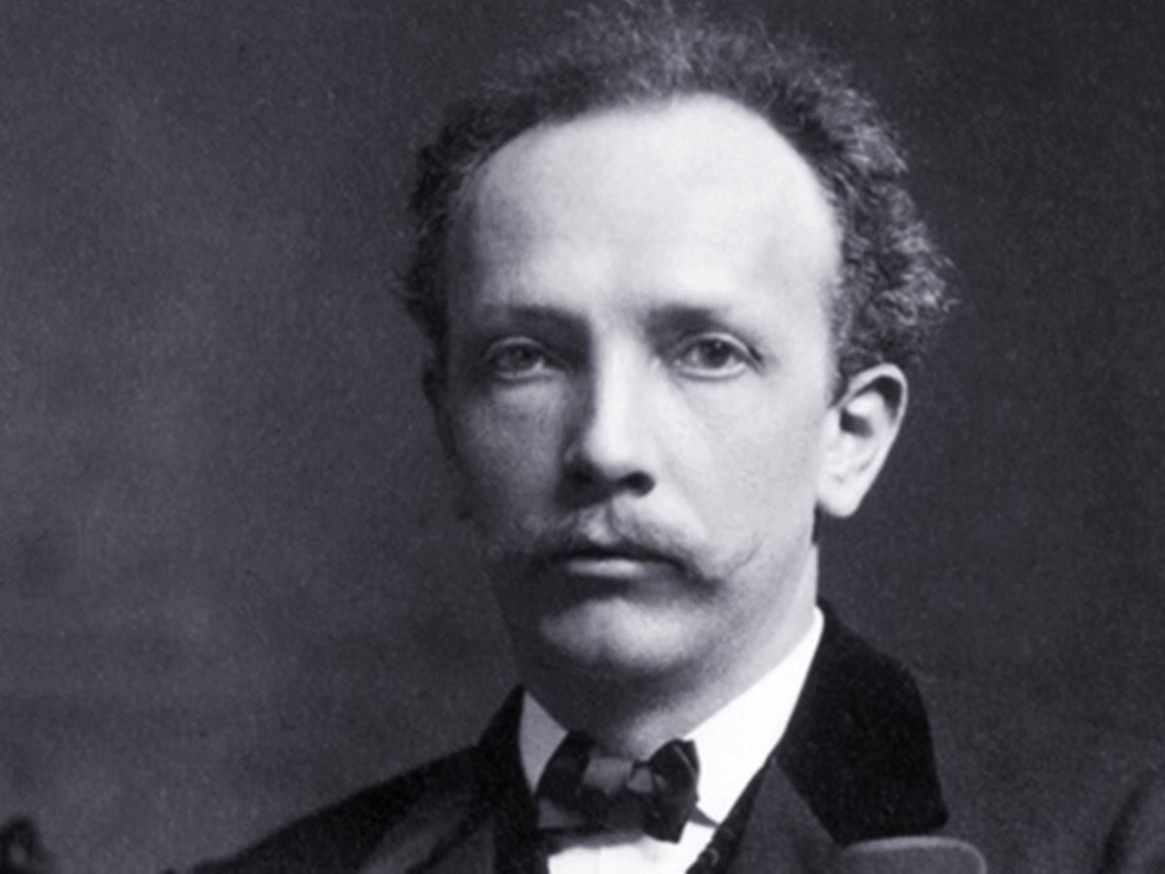 Richard Strauss Resim