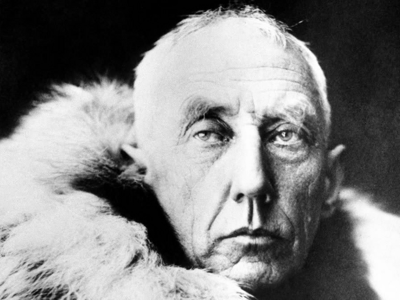 Roald Amundsen Resim