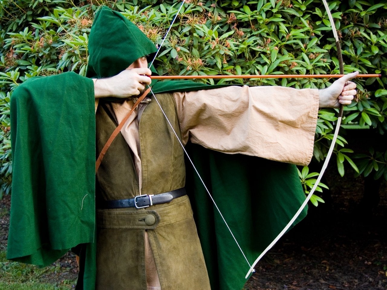 Robin Hood Resim