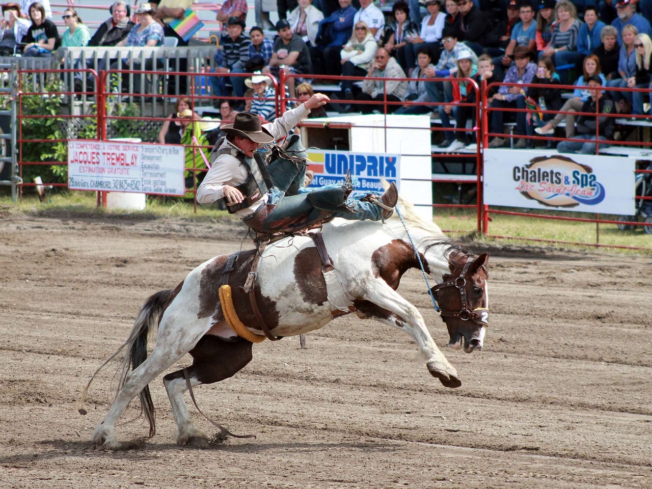 Rodeo Resim Rodeo Resim