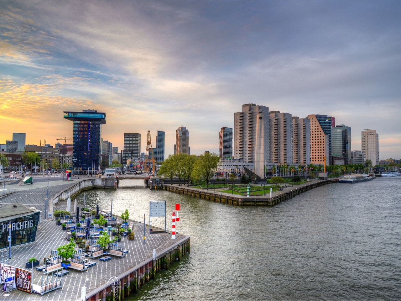 Rotterdam Resimleri