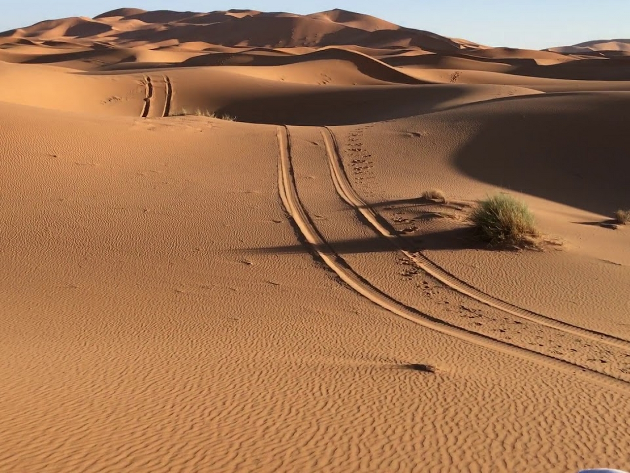 Sahra Çölü ya da Büyük Sahra Resim