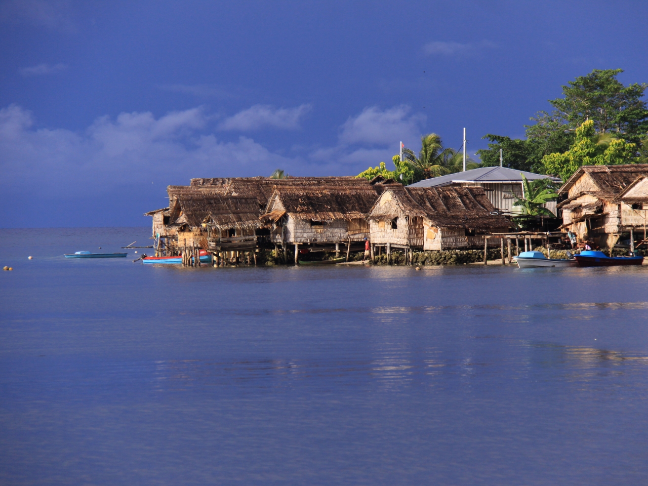 Solomon Adaları Resim