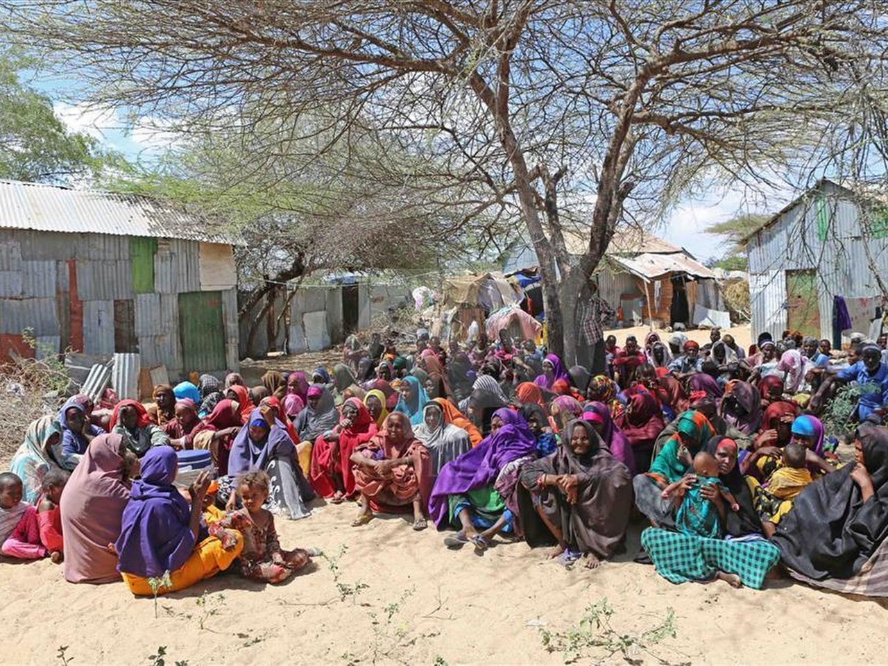 Somali Resimleri