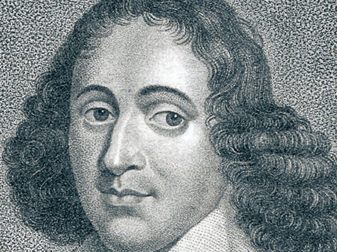 Spinoza Resim