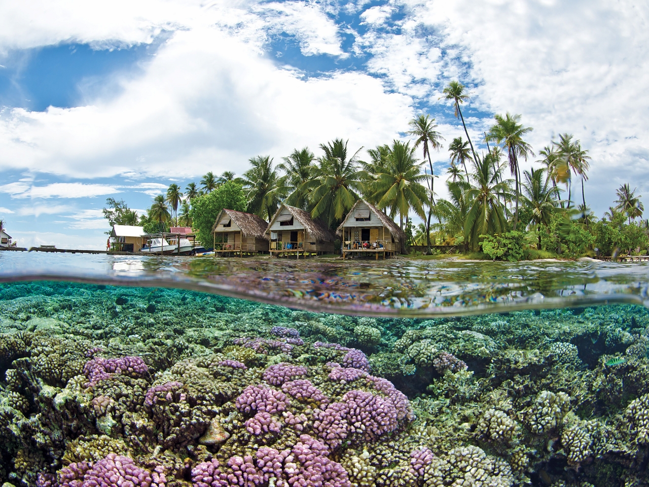 Tahiti Resim