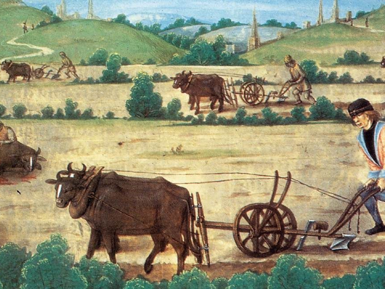 Tarım Tarihi Resimleri