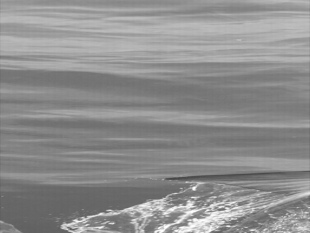 Tarpon Resim Tarpon Resim