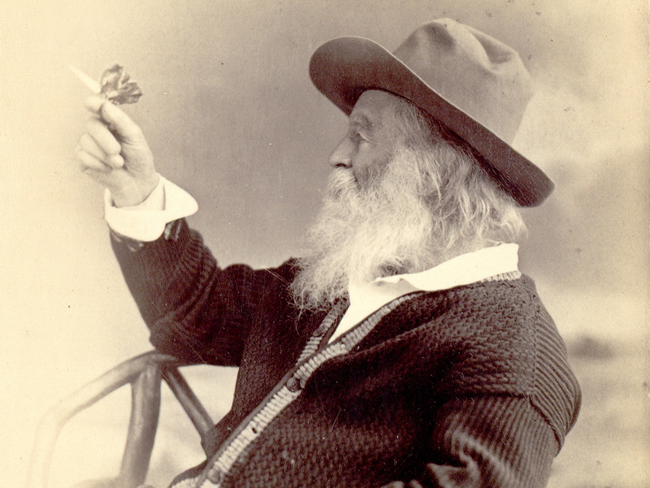 Walt Whitman Resimleri