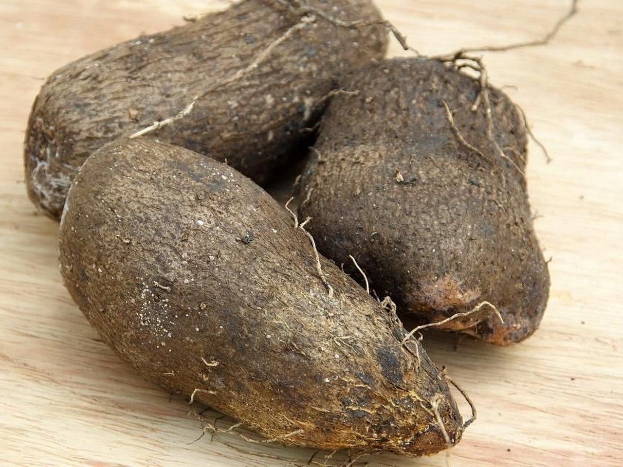 Yam Resimleri