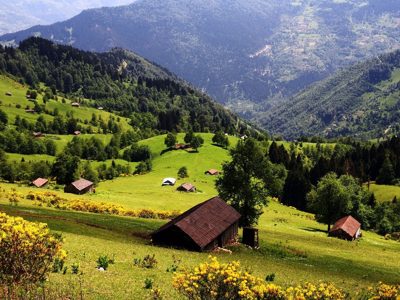 Yayla Resimleri