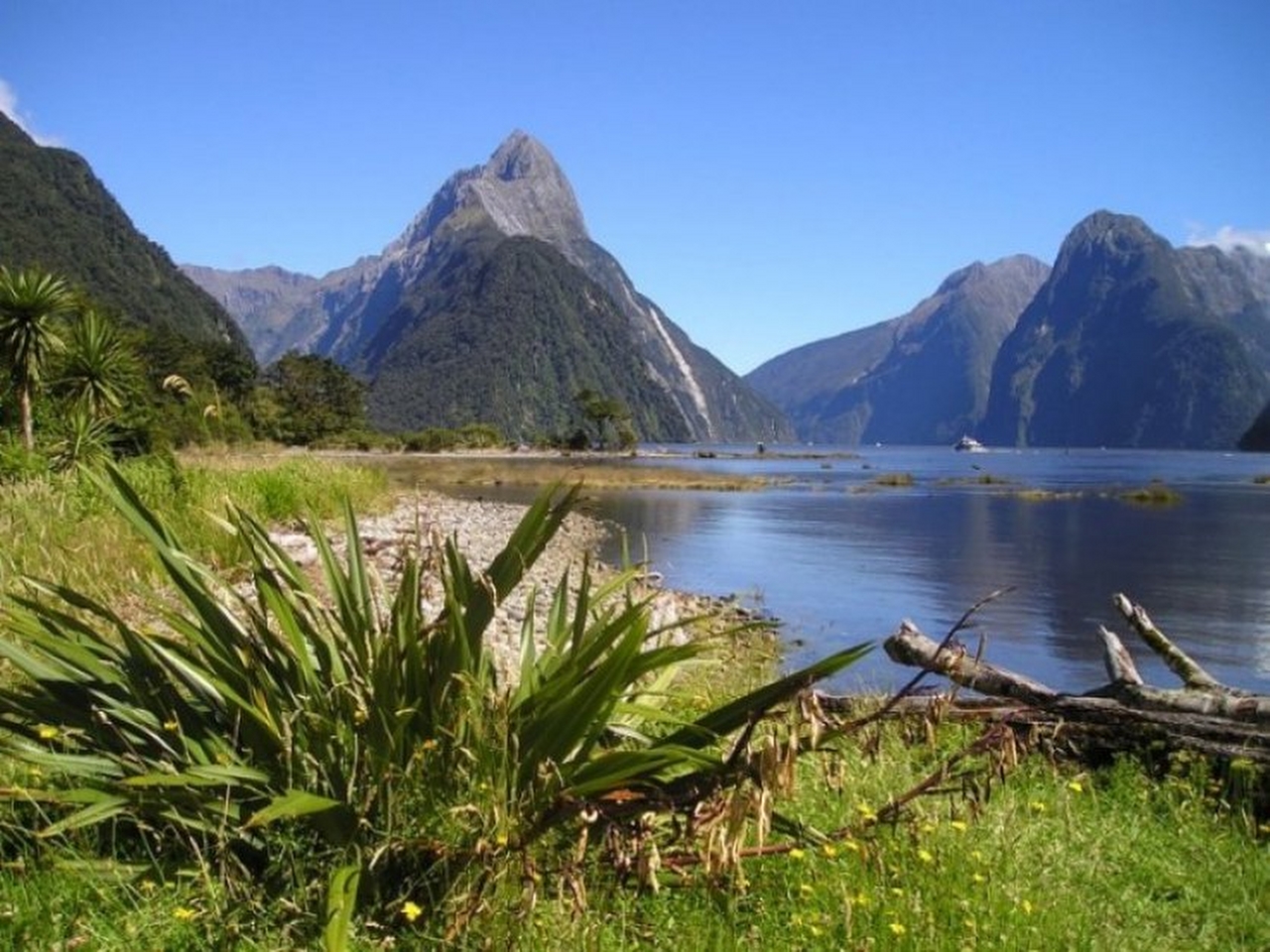 Yeni Zelanda Resimleri