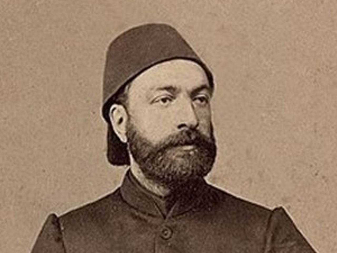 Ziya Paşa Resim
